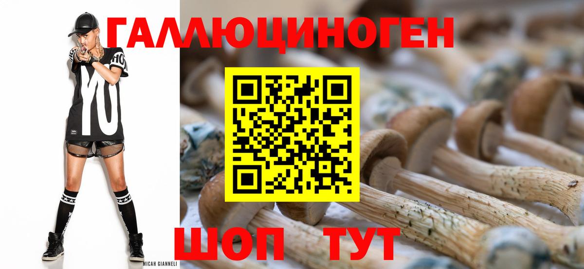Псилоцибиновые грибы MAGIC MUSHROOMS  Галлюциногенные грибы прущие грибы  закладка  Ковров  Вход с VPN 