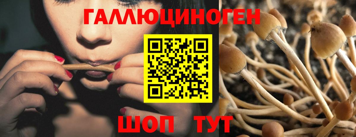 Галлюциногенные грибы мухоморы Ковров